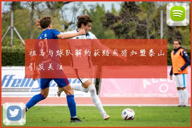 祖马与球队解约获赔或将加盟泰山引发关注
