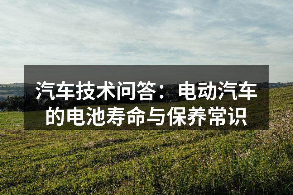 电动汽车电池结构示意图