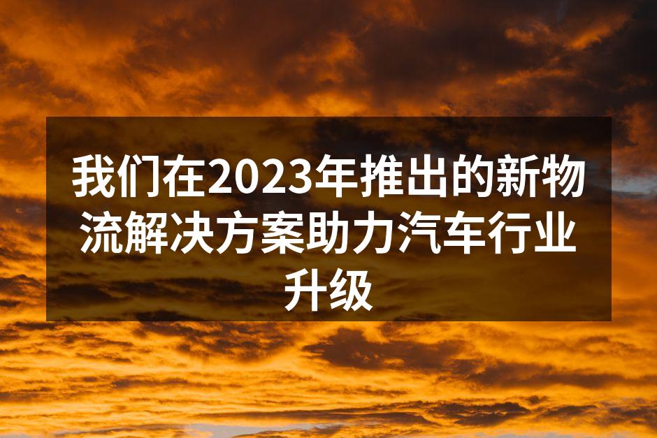 新物流解决方案提升运输效率
